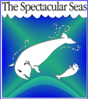 The Spectacular Seas